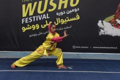 کسب مقام قهـرمانی دختر قهرمان بندرماهـشهر در فـستیوال ملی ووشـوایران