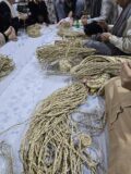 آموزش رایگان صنایع‌دستی در بندرماهشهر با هدف توسعه و ترویج و توانمندسازی بانوان